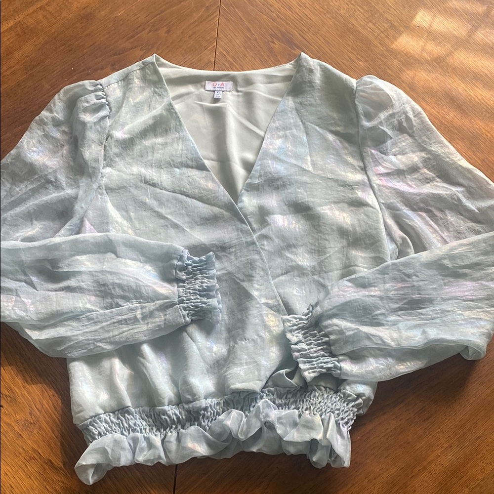 Q&A Los Angeles Sheer Matalic Blouse with Puff Sleeves